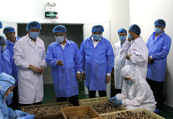 1_副本.jpg 1_副本.jpg