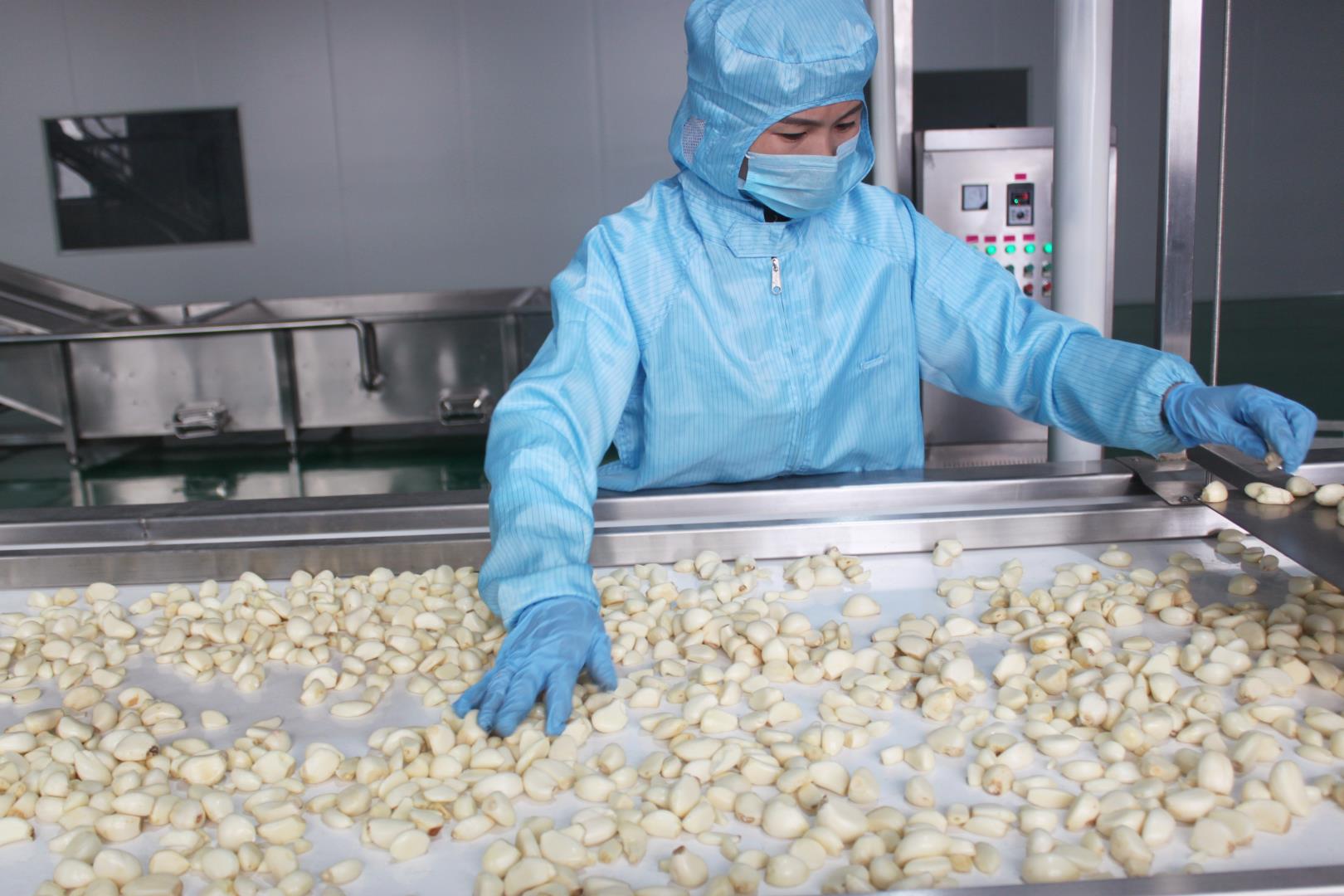 保鮮蒜米.jpg 保鮮蒜米.jpg